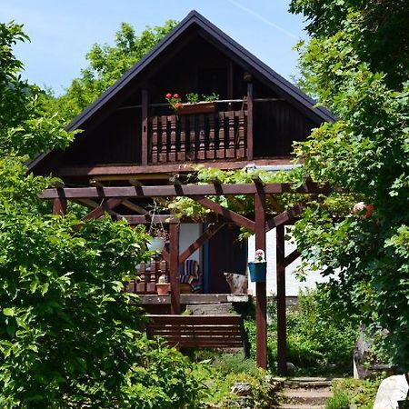 Na Okic - A Private Forest Oasis Sveti Martin pod Okicem 외부 사진
