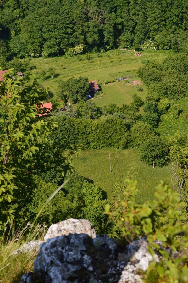Na Okic - A Private Forest Oasis Sveti Martin pod Okicem 외부 사진