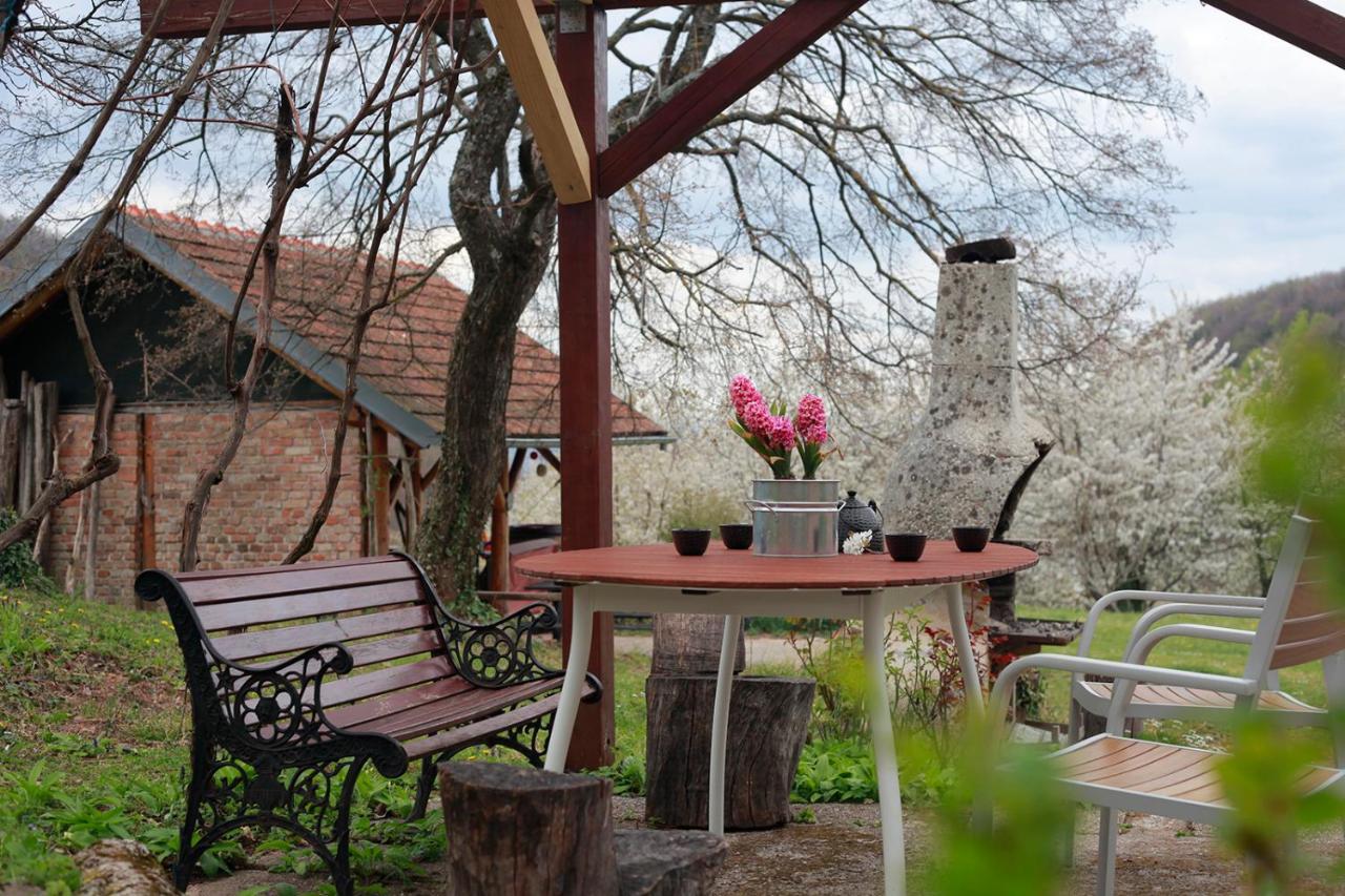 Na Okic - A Private Forest Oasis Sveti Martin pod Okicem 외부 사진