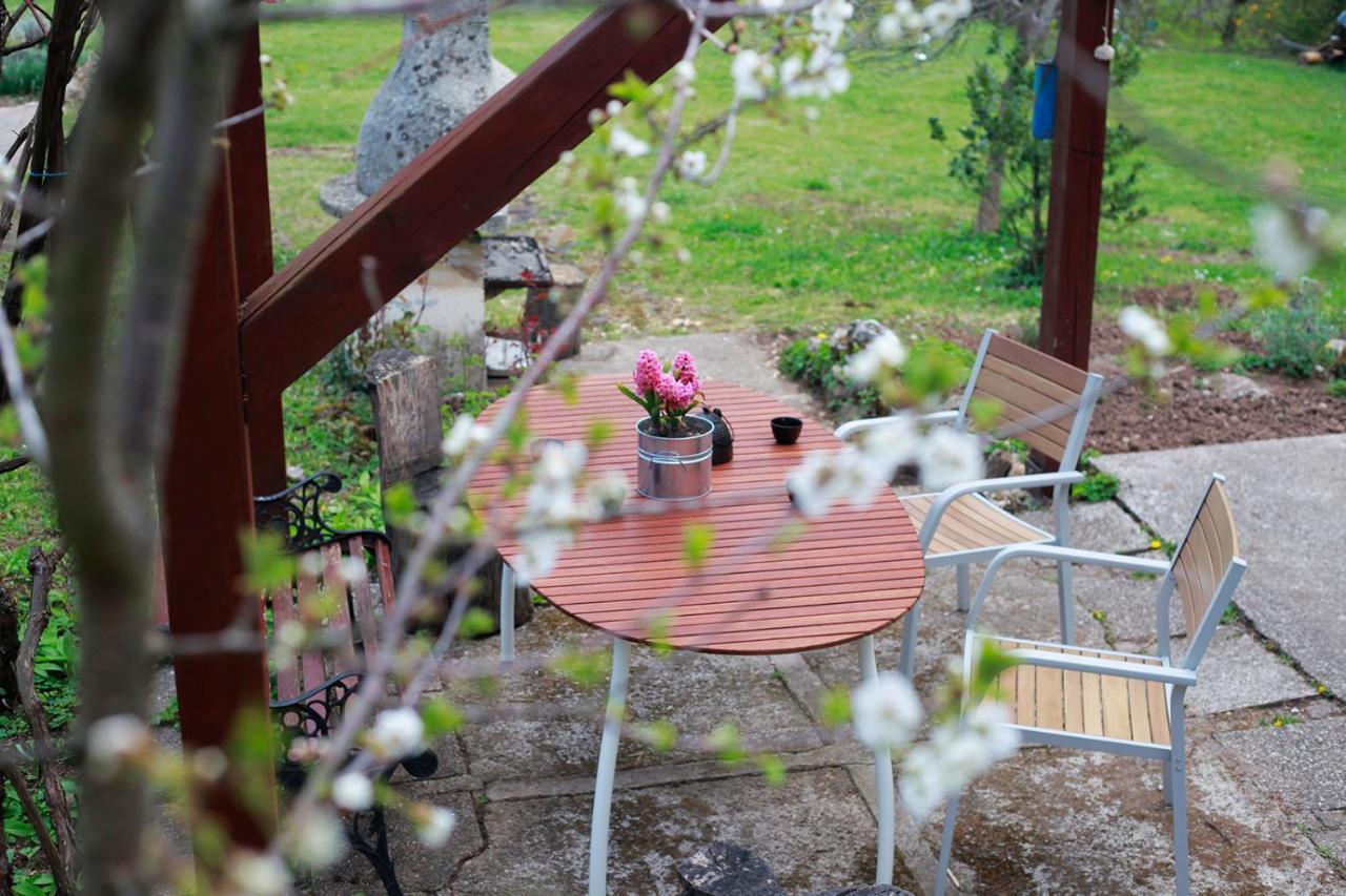 Na Okic - A Private Forest Oasis Sveti Martin pod Okicem 외부 사진