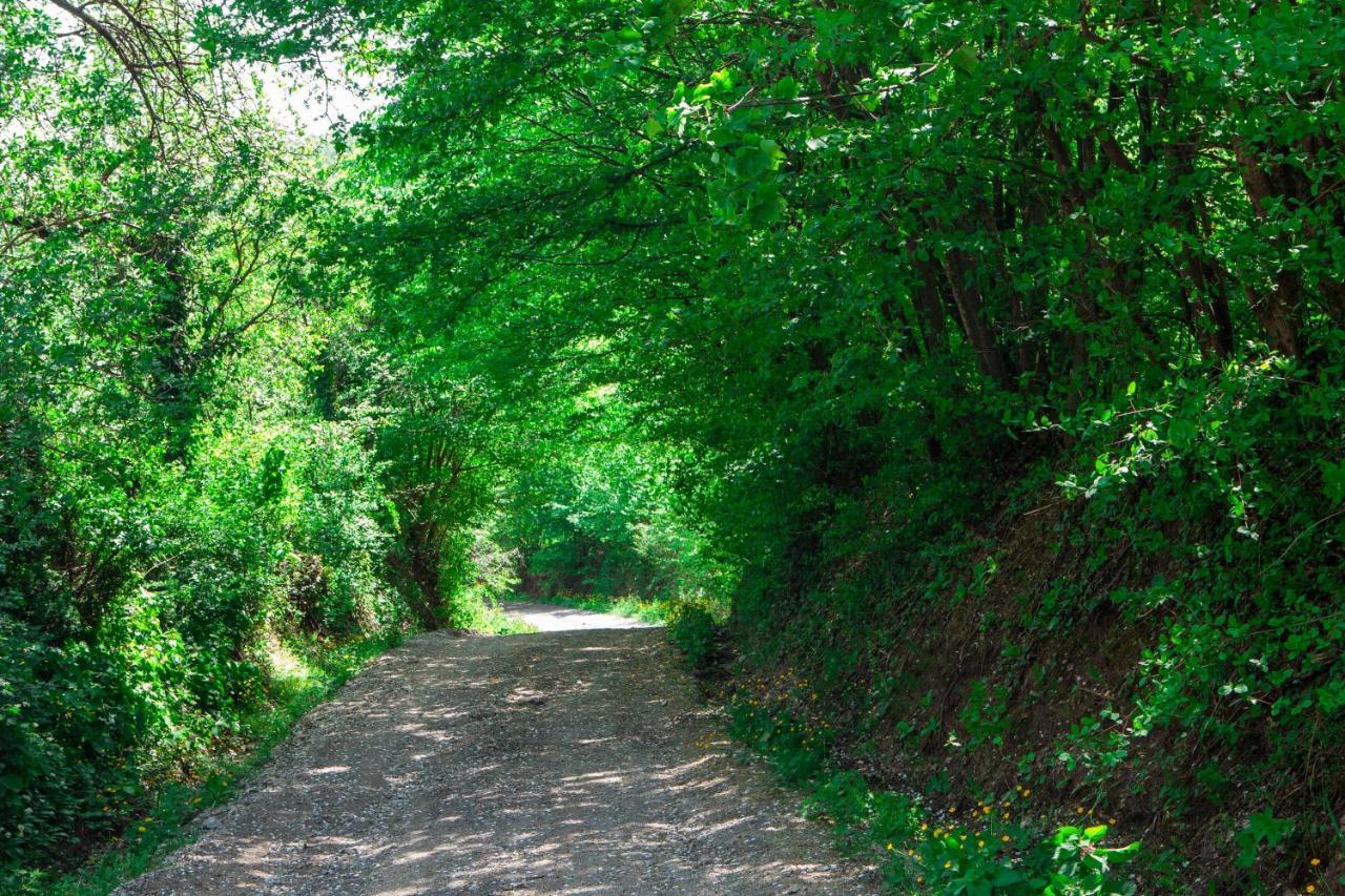 Na Okic - A Private Forest Oasis Sveti Martin pod Okicem 외부 사진