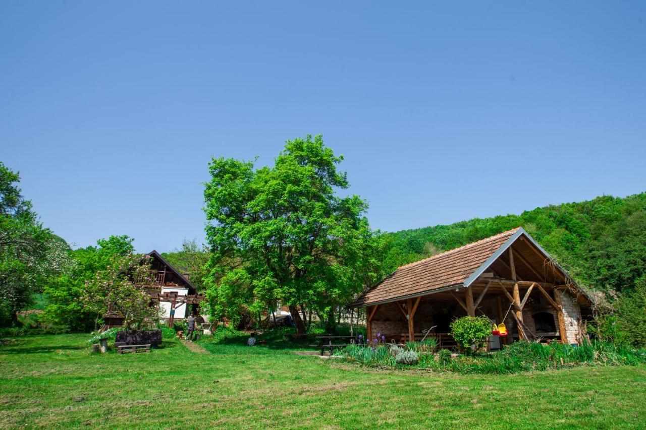 Na Okic - A Private Forest Oasis Sveti Martin pod Okicem 외부 사진